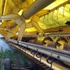 New Holland 8080 Rice Header