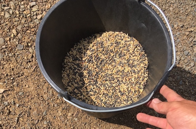 20mt Vetch/Oats Hay Mix