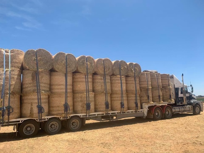 Premium Quality Irrigated Hay