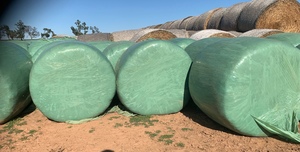 200 + Clover Rye Silage Rolls