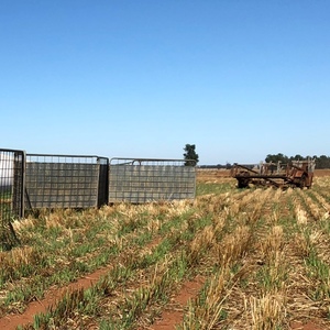 WANTED McShane Portable Sheep Yards