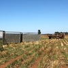 WANTED McShane Portable Sheep Yards