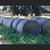 92 x Pasture Hay 5x4 Bales