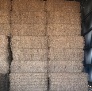 500mt Vetch Hay 600kg 8x4x3 Bales