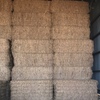 500mt Vetch Hay 600kg 8x4x3 Bales