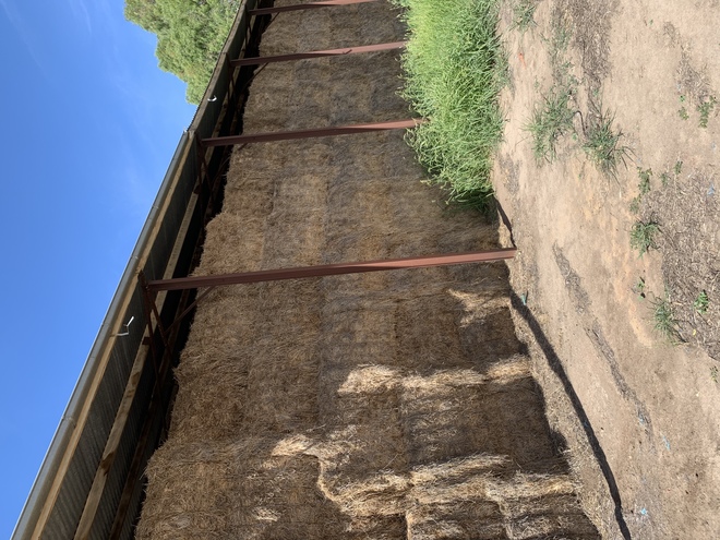 Old Season Clover and Rye Hay