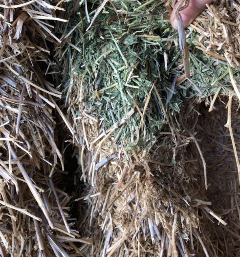 A2 VETCH HAY: SHEDDED. Road Train Access. 