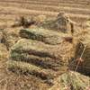 300mt Wheaten Hay 600+kg 8x4x3 Bales