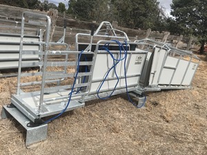 Hecton sheep handler