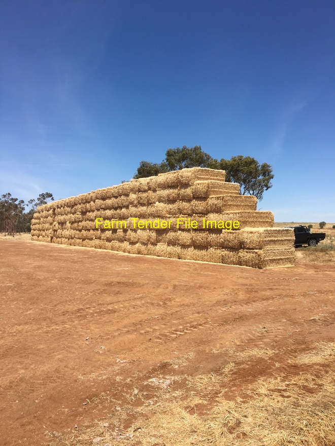 Wheaten Hay 8x4x3