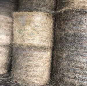Lucerne Hay