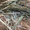 Wheaten / Rye Hay Rolls For Sale