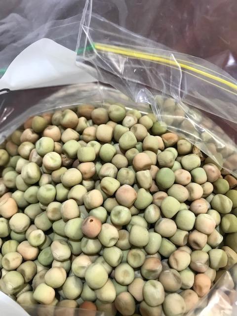 Field Peas approx 60t 