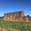 150mt Barley & Ryegrass Hay 580kg 8x4x3 Bales