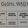 Wagyu Bull - Mr Goshu