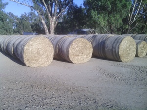 90 wheaten straw 5x4 rolls