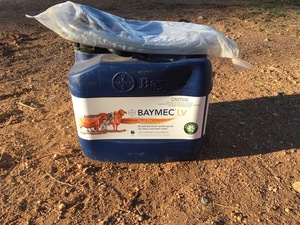 Under Auction - Baymec LV - 2% Buyers Premium on all Lots
