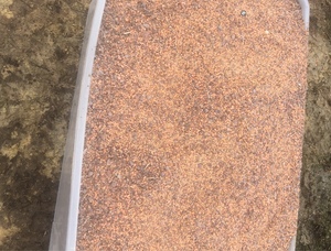 Crushed Lentils   1 Semi load