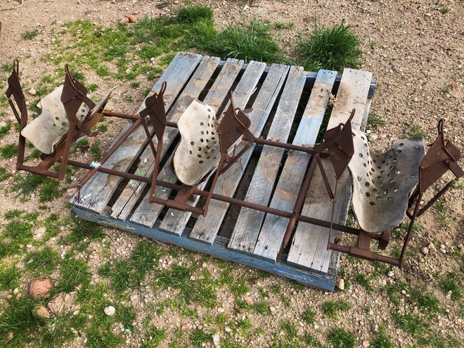 3 Berth Lamb Marking Cradle