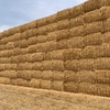 Barley Header Trails Straw 8x4x3 Bales