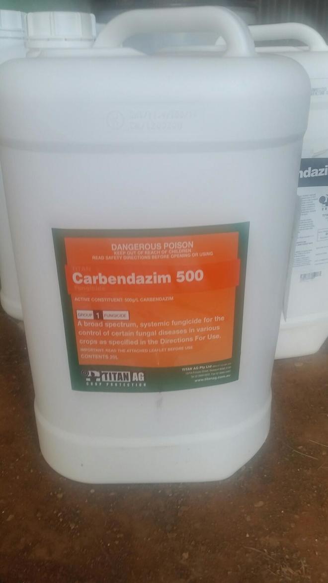 Carbendazim 500