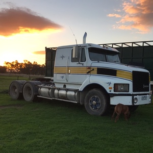 1993 S-Line International 3600