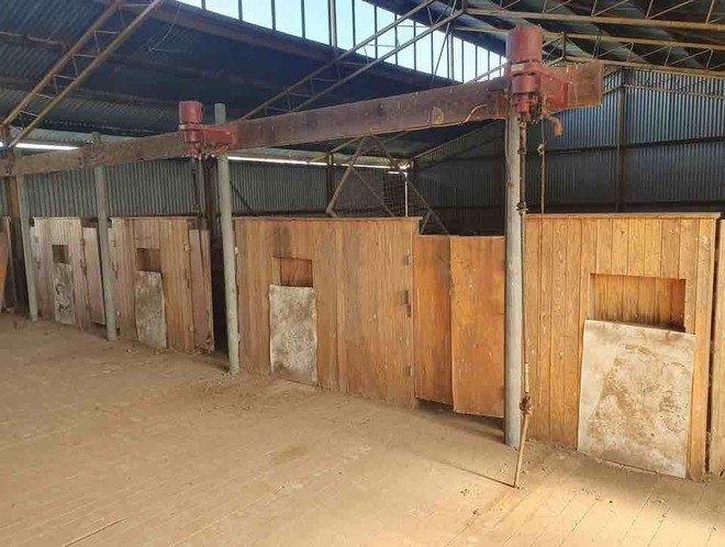 Wool Shed For Removal