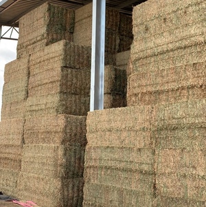 Vetch Hay