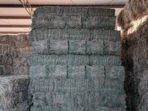 Lucerne Hay Delivered to Sydney Area
