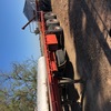 1985 Lusty convertible 41 foot 