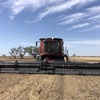 2011 Case IH 8120 Combine