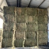 Lucerne 1st cut Hay 8x4x3 Bales