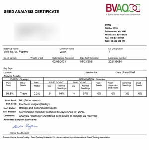 10mt Popany Vetch Seed