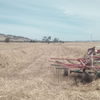 Oaten Hay High Density 8x4x3 bales