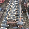 45' Rotary Harrows