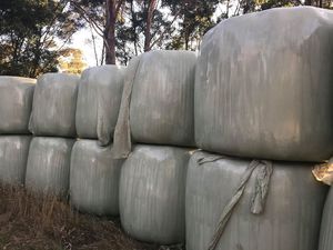 QUALITY Silage Bales For Sale