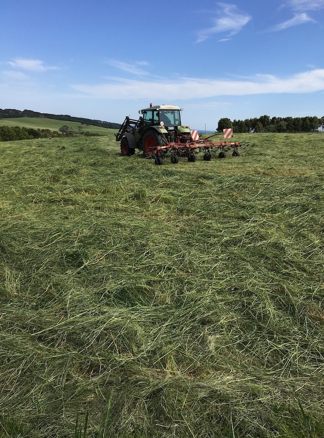320 x Silage 600kg Round Bales