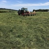 320 x Silage 600kg Round Bales