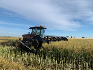 MACDON 9352i WINDROWER
