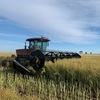 MACDON 9352i WINDROWER