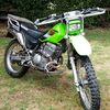 Kawasaki 250 stockman
