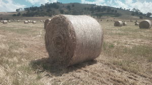 Rye & Clover Hay 5x4 Round Bales (New Season)