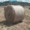 Rye & Clover Hay 5x4 Round Bales (New Season)