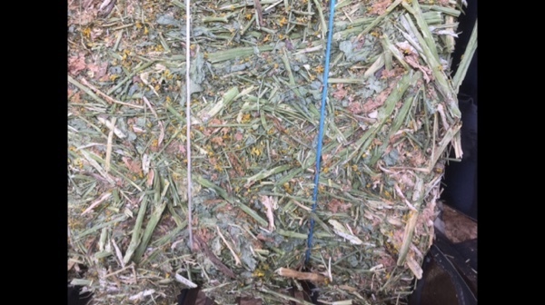 canola hay shedded 8x4x3