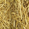 1100 Bales Wheaten Hay Treated with Sylac