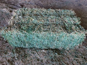 Lucerne for sale NO GST