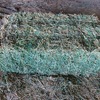 Lucerne for sale NO GST