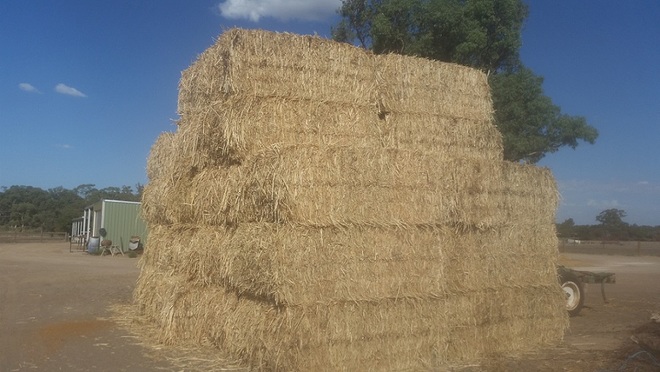 Sudan Grass Hay (Irrigation) No chemical   1x Drop Deck load