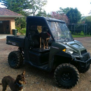 Polaris Ranger Diesel 1000