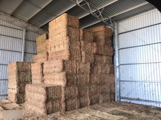 70mt Vetch Hay 700kg 8x4x3 Bales